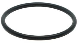 O-Ring til flens